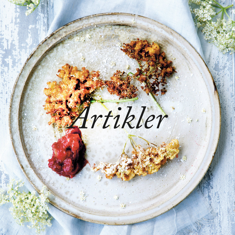 ARTIKLER_5_2015.jpg